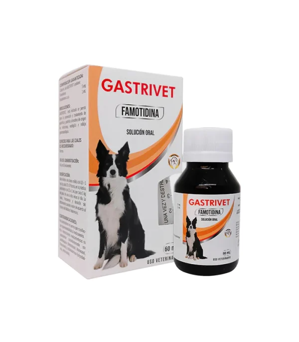 Gastrivet Famotodina tratamiento gastritis y ulceras perros 60ml