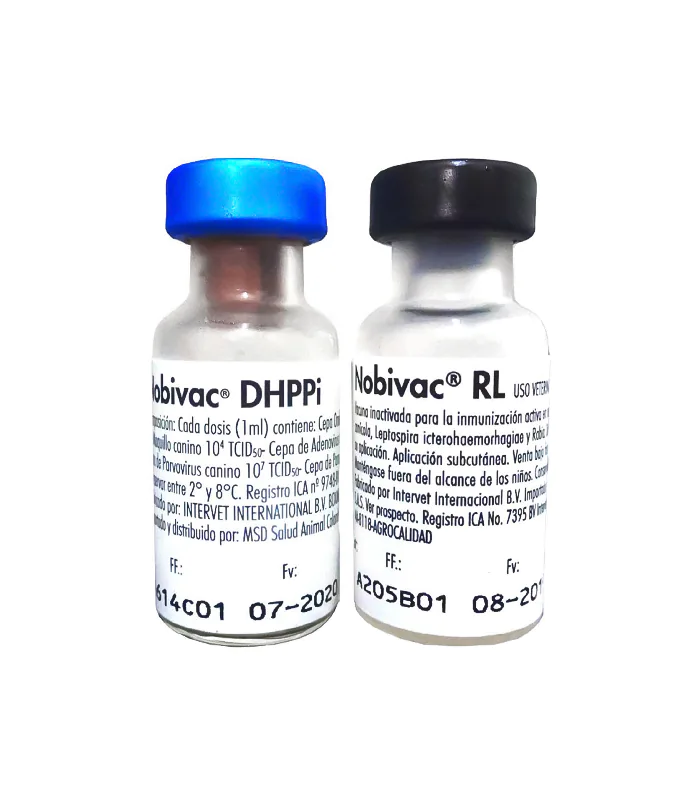 Vacuna Nobivac DHPPI+RL Caninos Sextuple