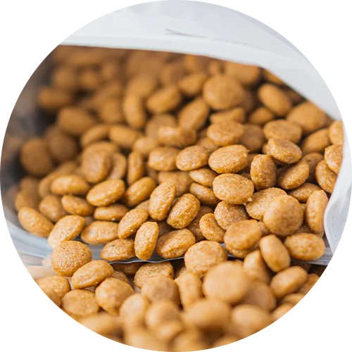 Alimentos