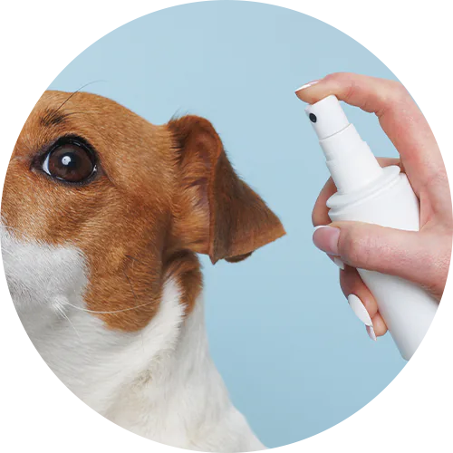 Dermatológicos